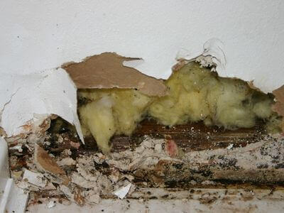 About Cornerstone Shield - water damage restoration experts in Calgary