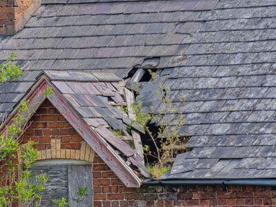 Professional water damage restoration services in Calgary